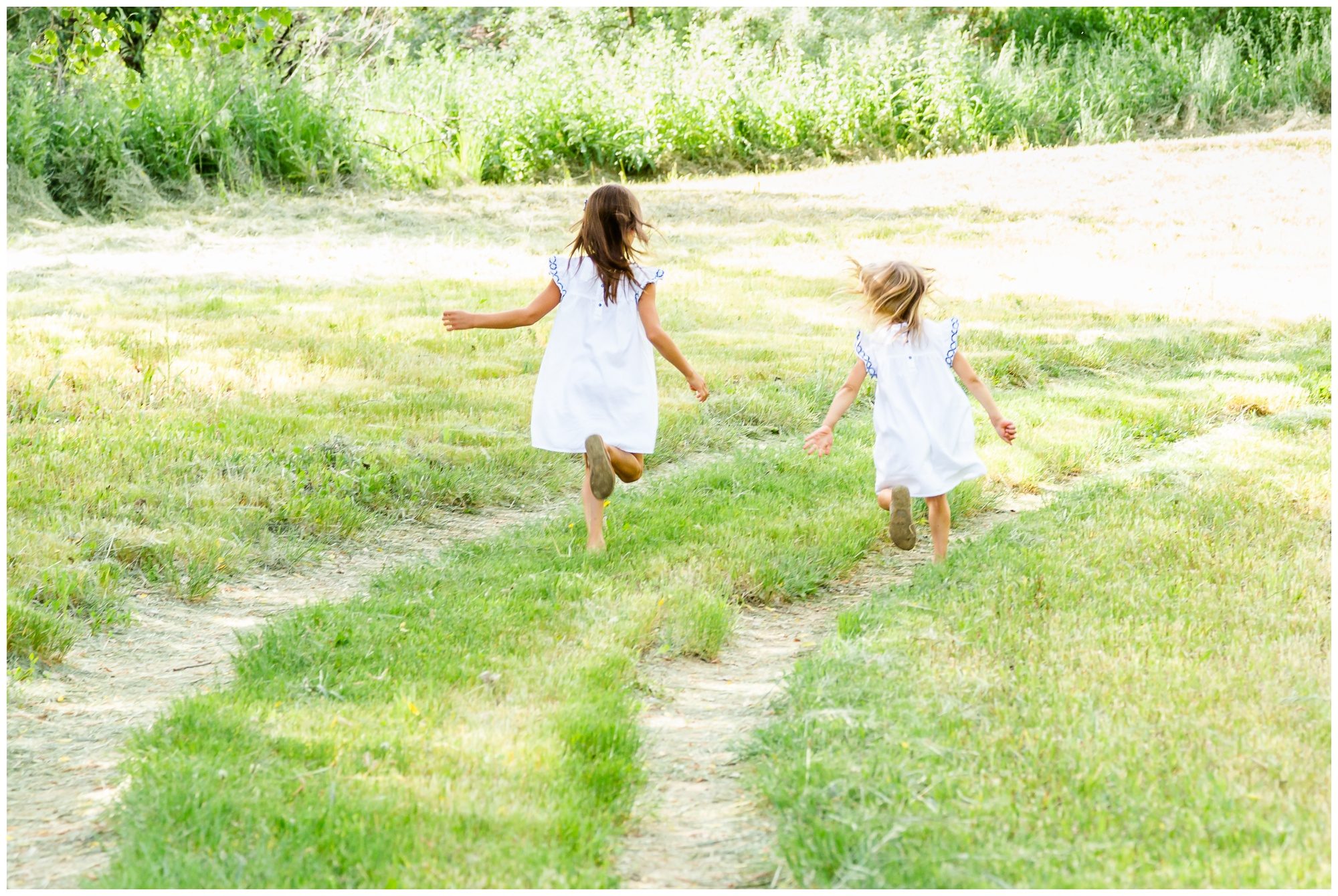 Erie family photographer