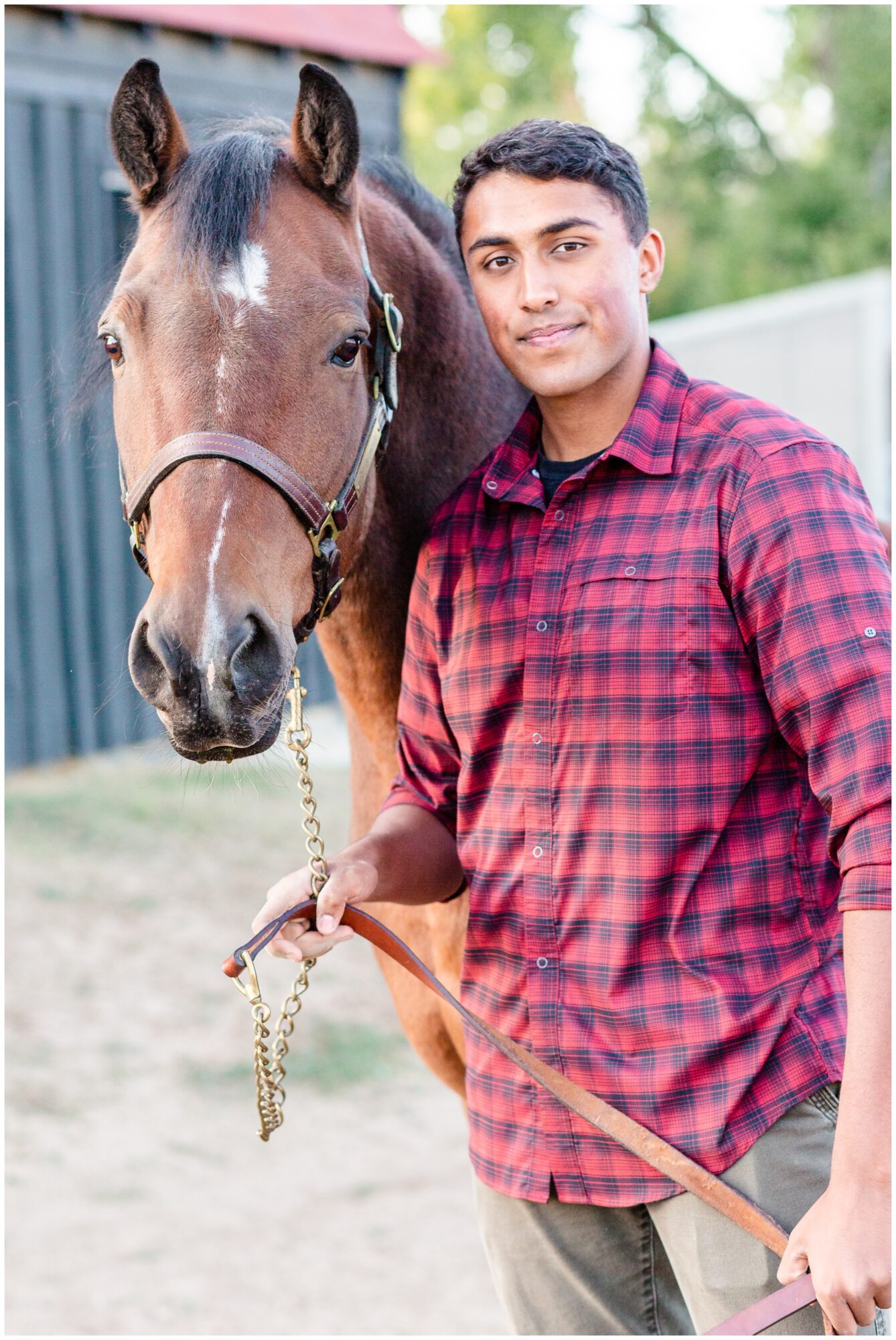 equestrian senior pictures erie colorado