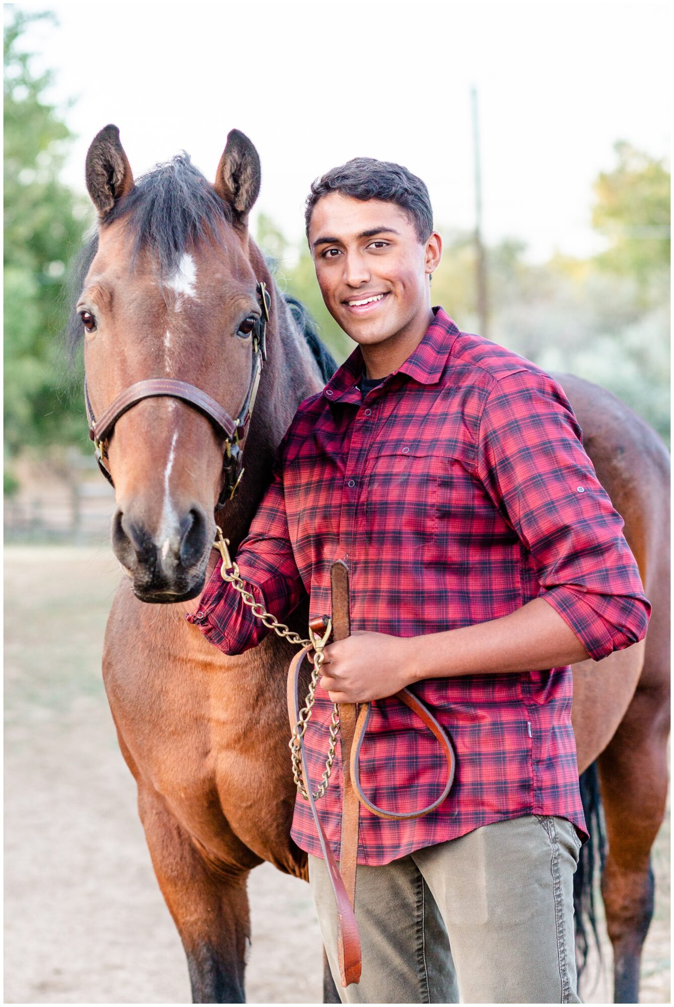 equestrian senior pictures erie colorado