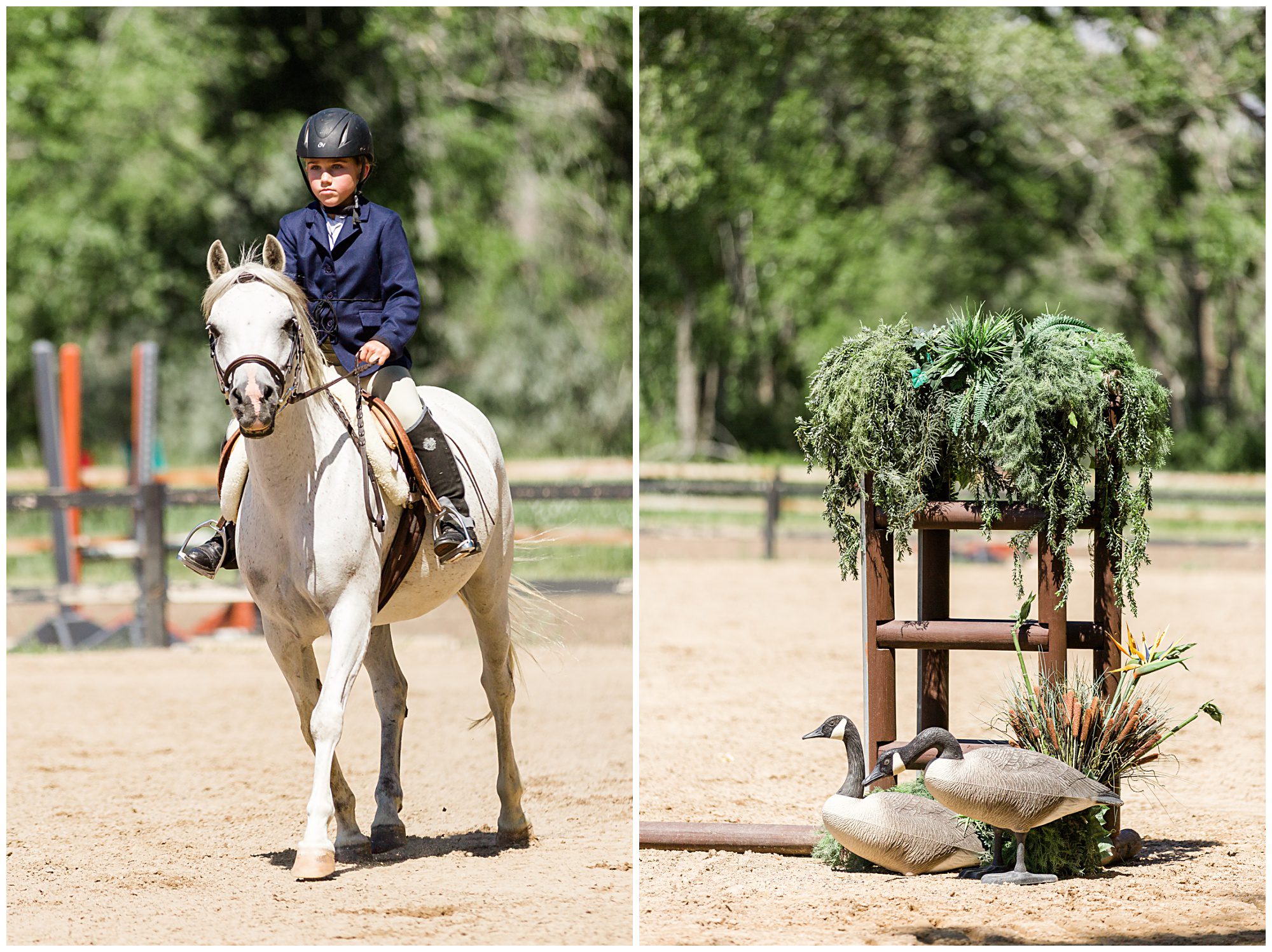 Horse Show Fox Hill Equestrian Center