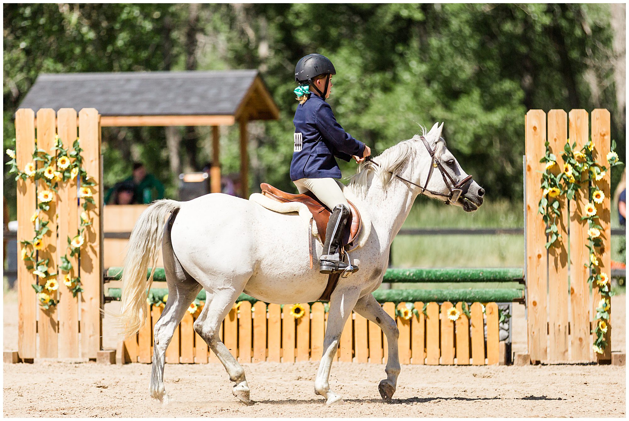 Horse Show Fox Hill Equestrian Center