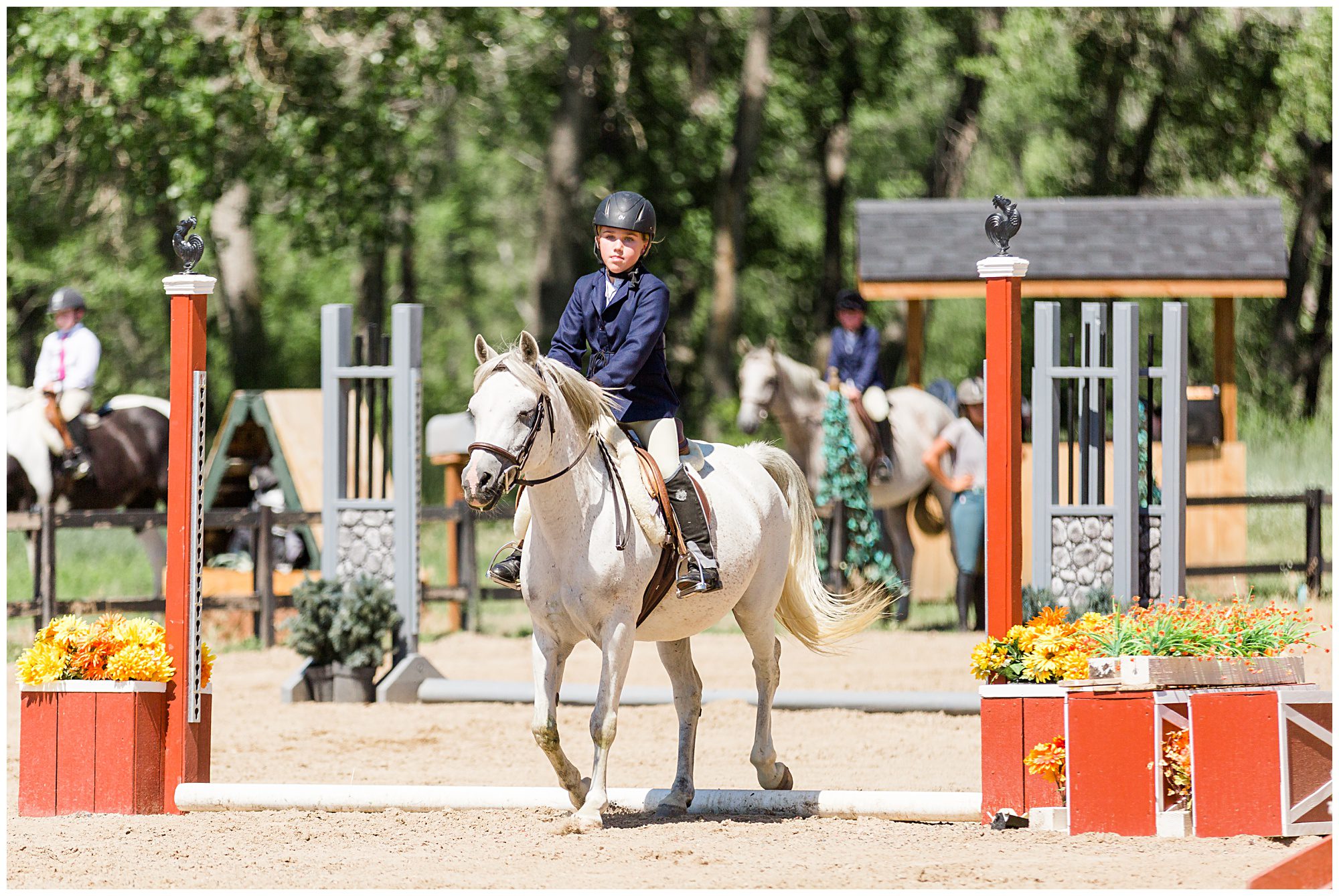 Horse Show Fox Hill Equestrian Center