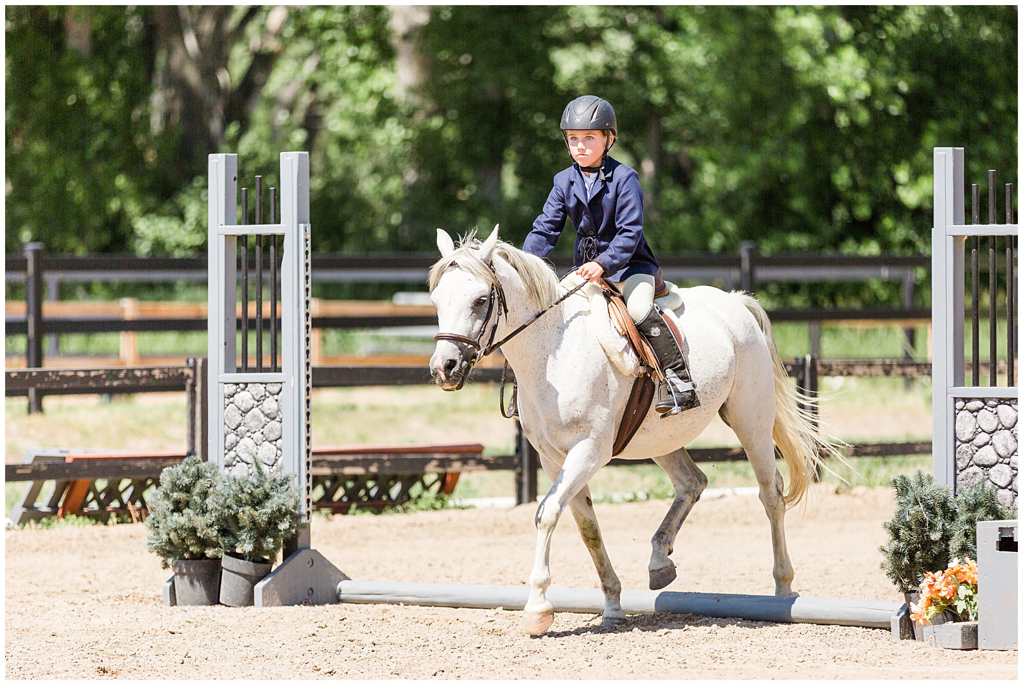 Horse show at Fox Hill Equestrian Center