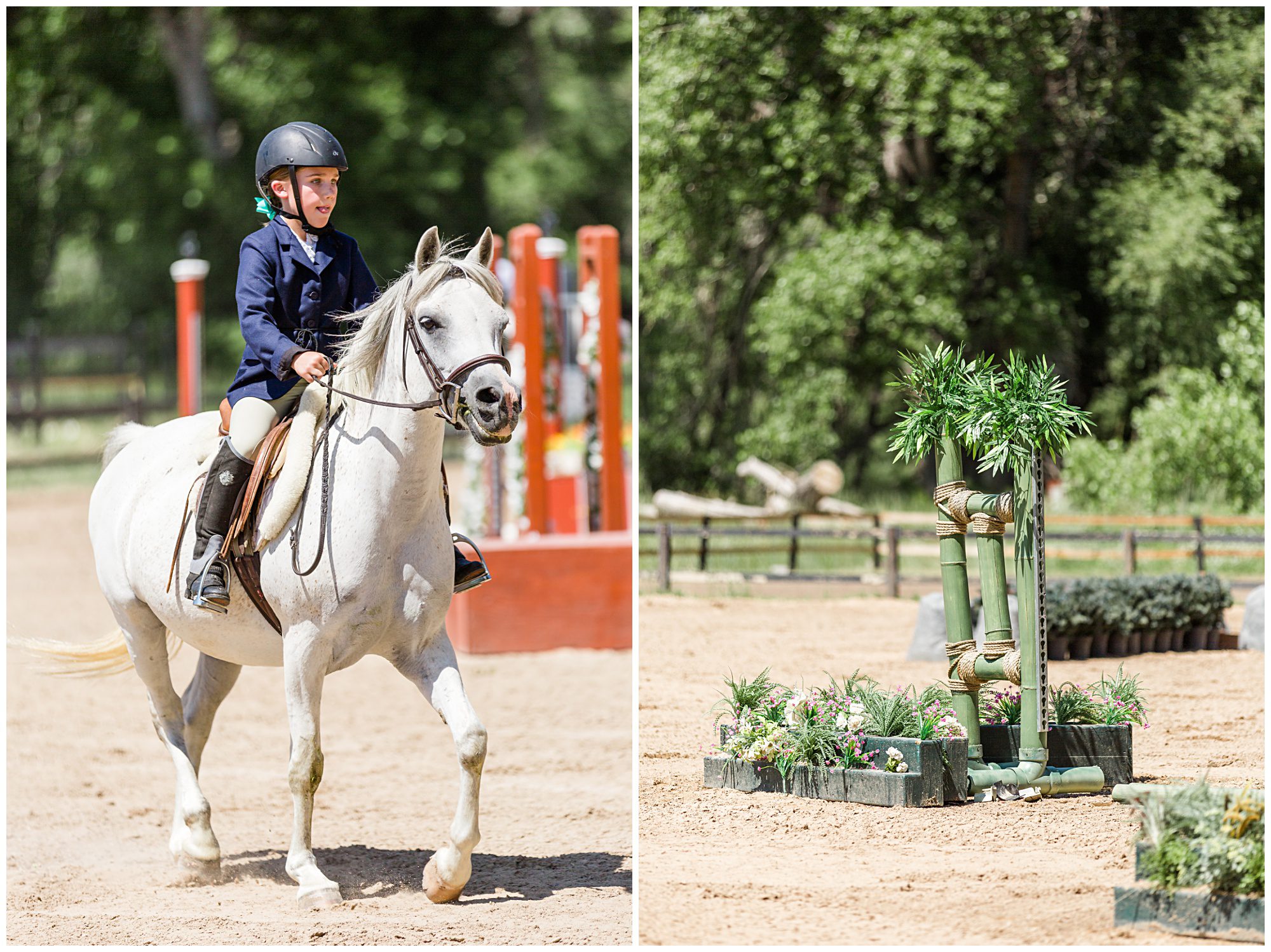 Horse Show Fox Hill Equestrian Center