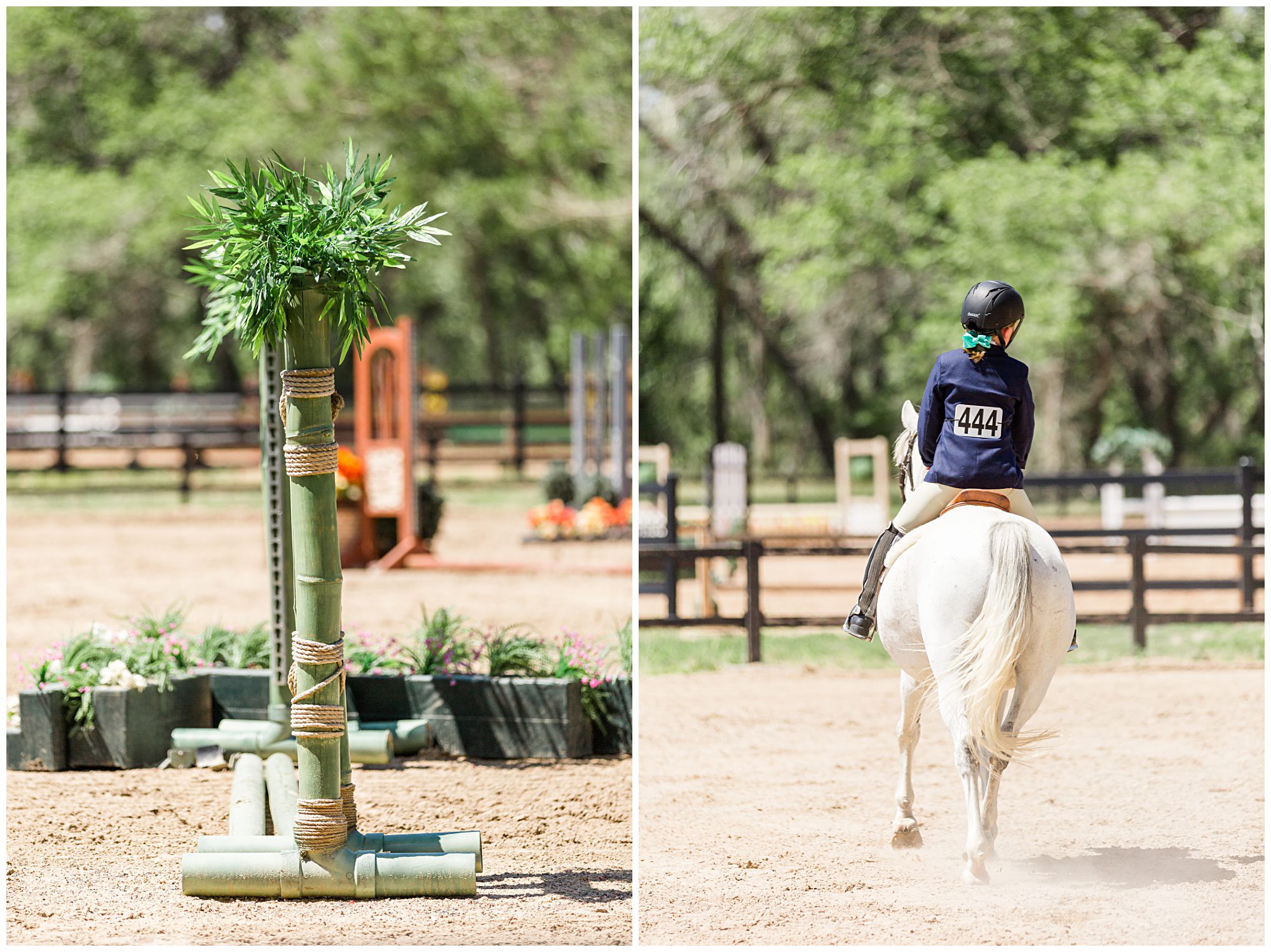 Horse Show Fox Hill Equestrian Center