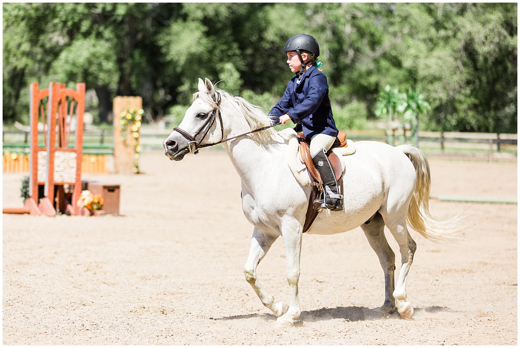 Horse Show Fox Hill Equestrian Center