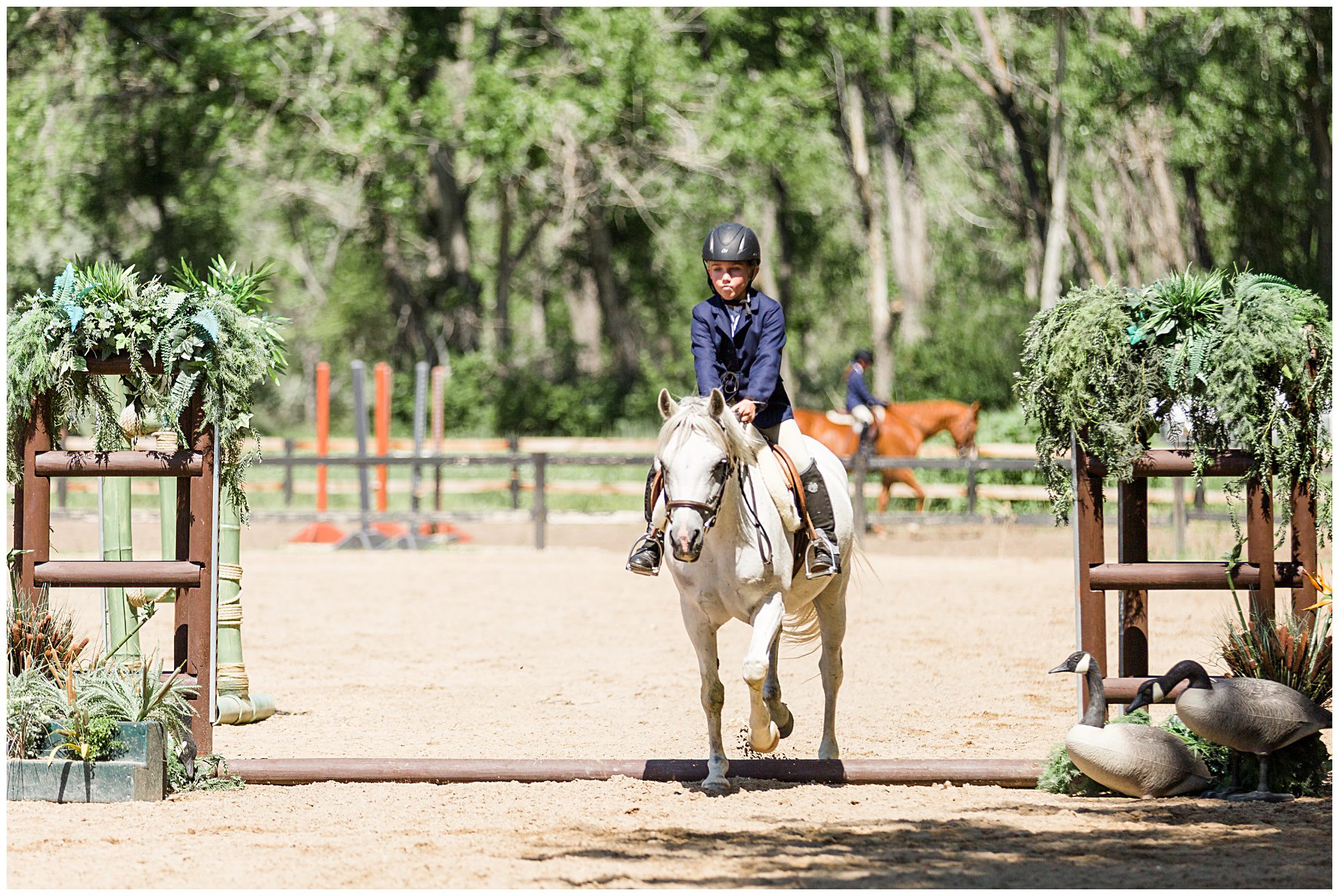 Horse Show Fox Hill Equestrian Center