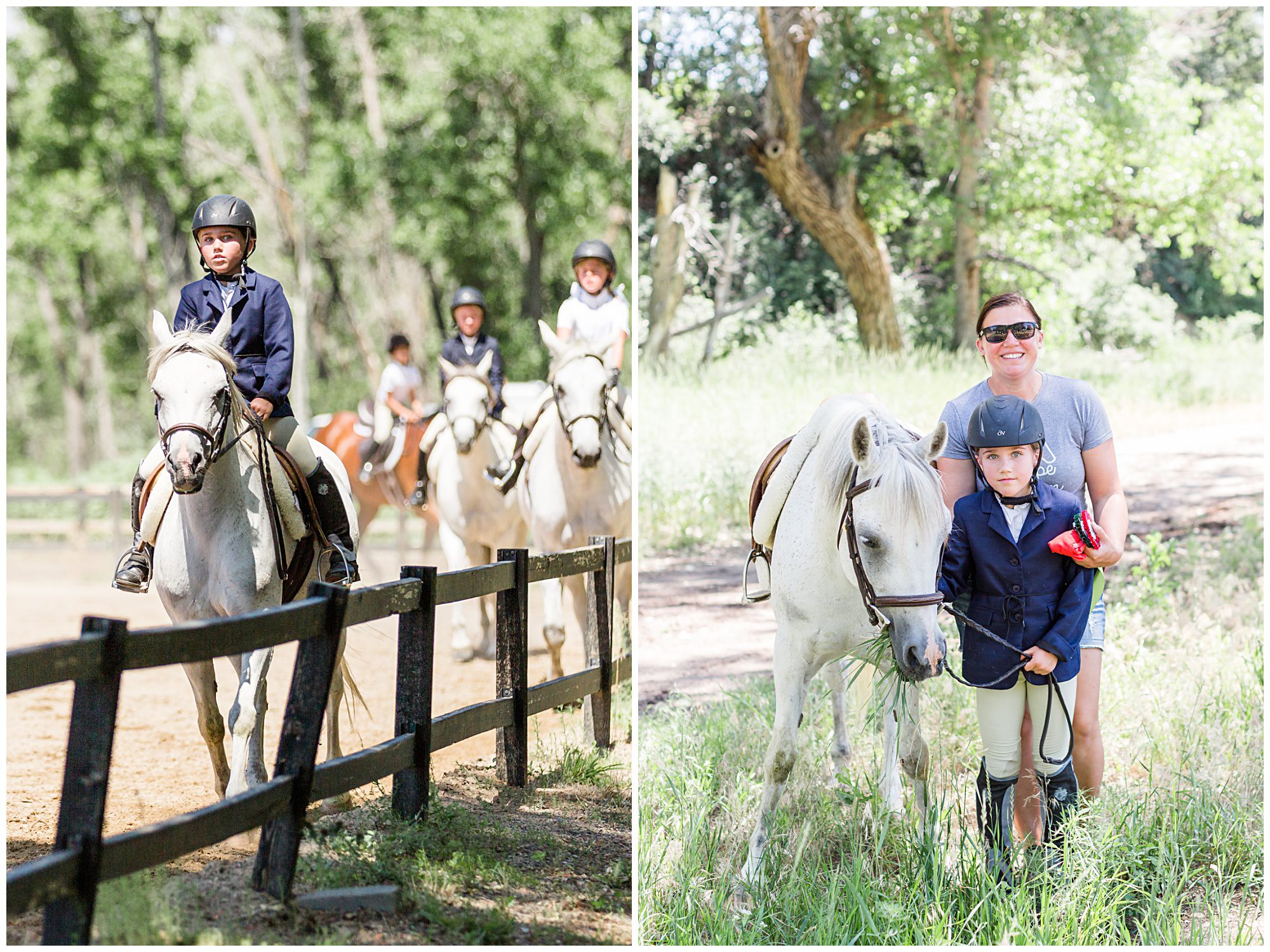 Begginer Horse Show