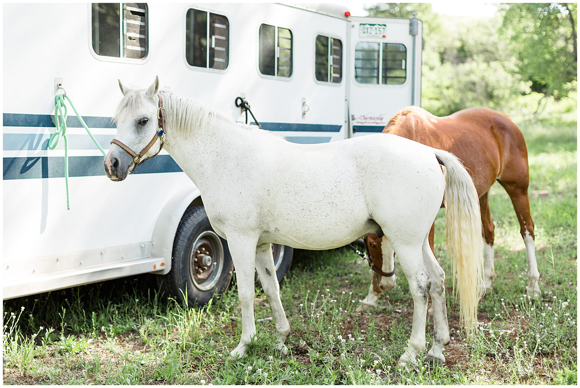 Carpe Diem Equestrian