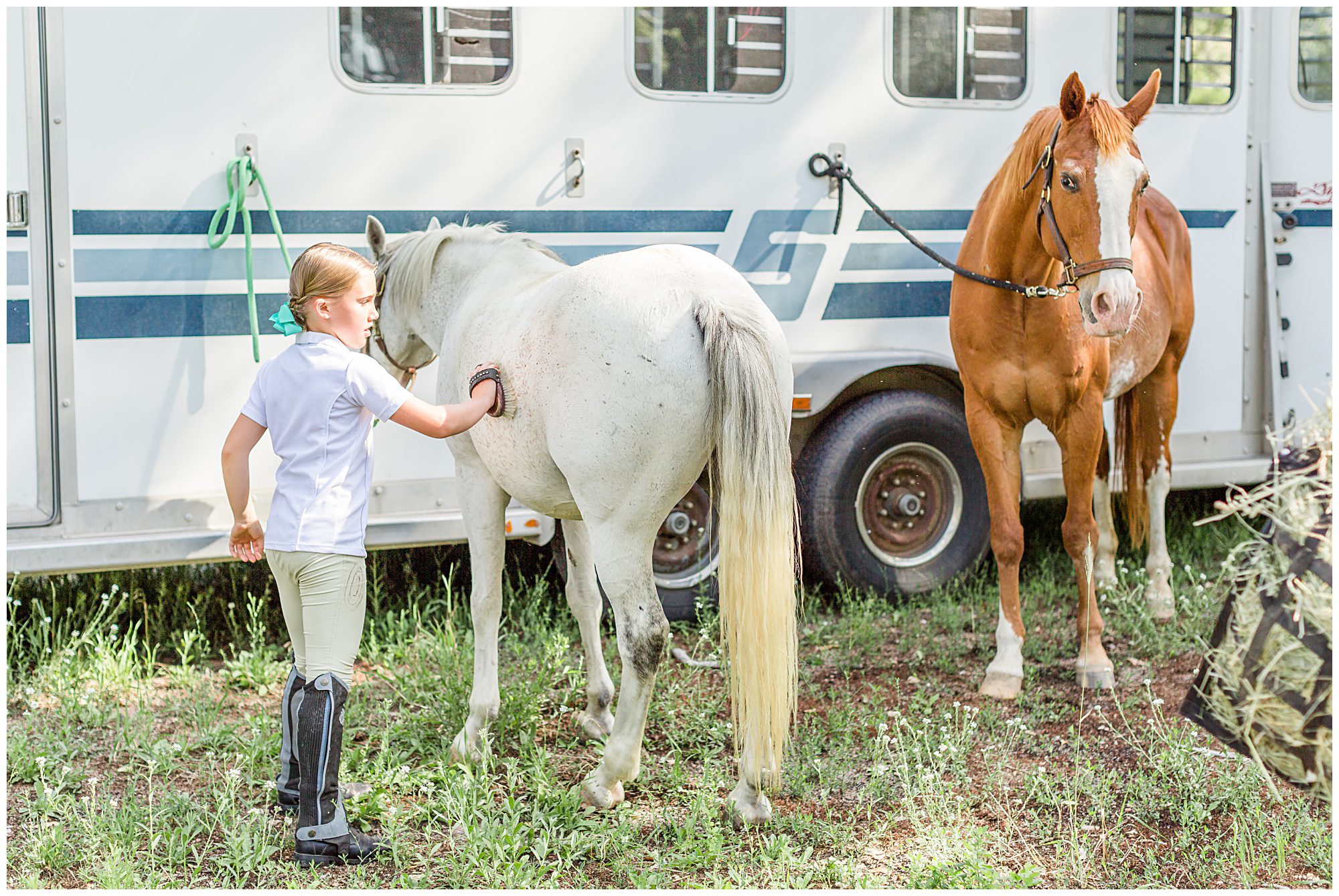 Carpe Diem Equestrian