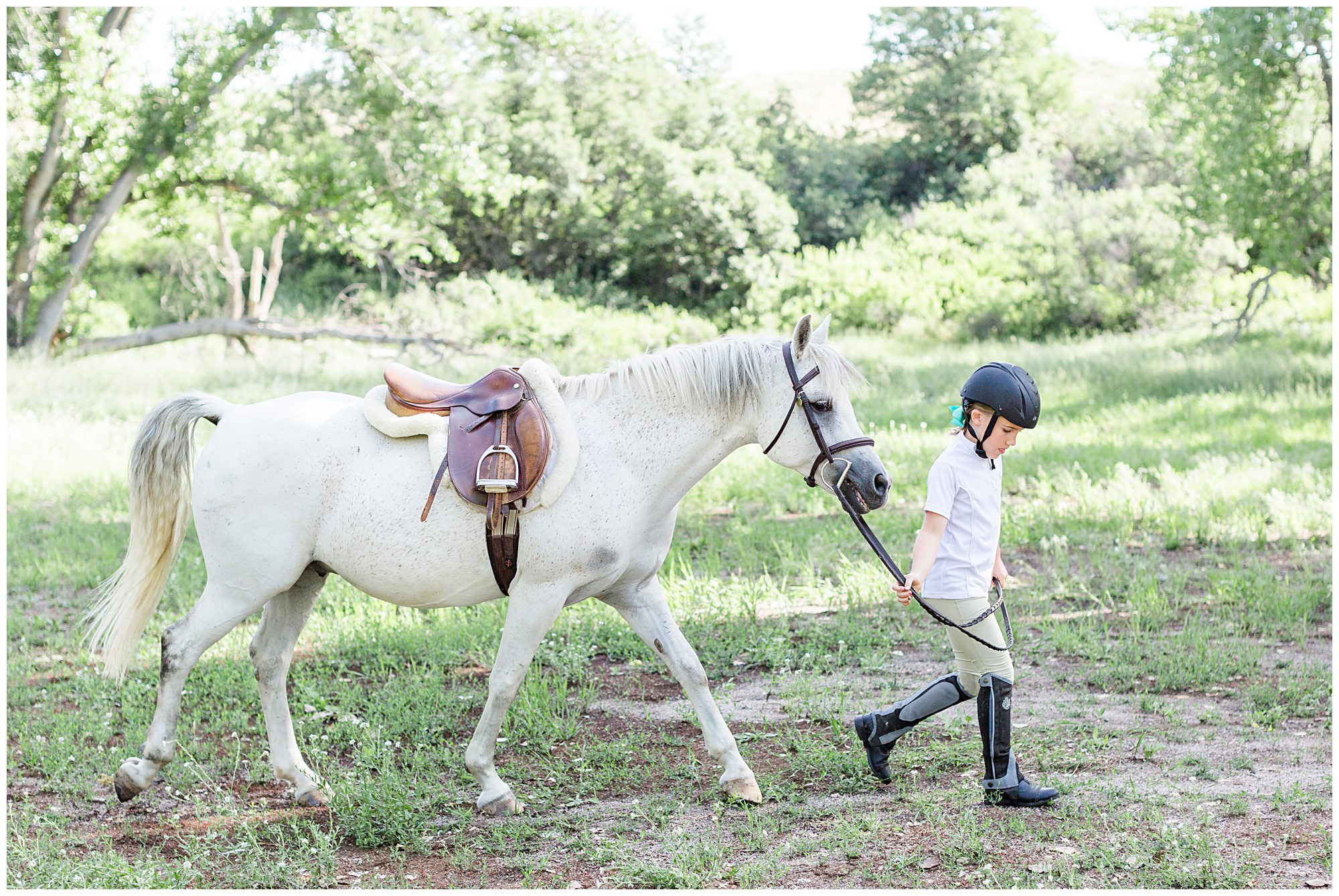 Carpe Diem Equestrian